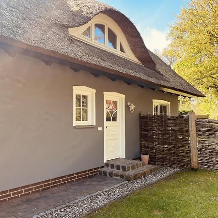 Ferienwohnung Lasse In Wieck Ngoại thất bức ảnh
